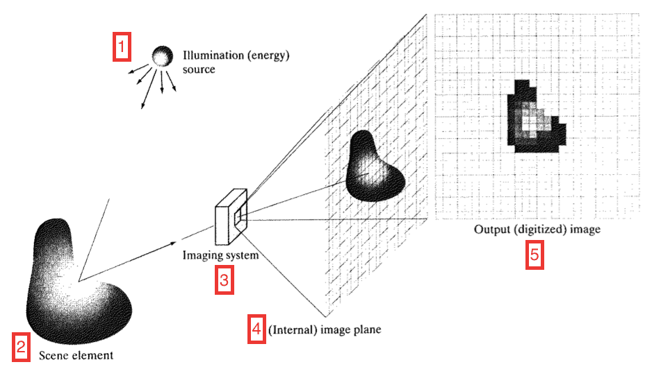 An example of digital image acquisition using array sensor